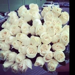 Meet your Posher, Asma